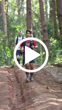 BIB:  <button type="button" onclick="openModal(26569708)" class="btn btn-primary btn-sm float-right" data-toggle="modal" data-target=".modal-high-quality">
                <i class="fa fa-download"></i> Download
                </button>